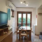 Rent 3 bedroom apartment of 60 m² in Camaiore