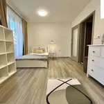 Rent 1 bedroom apartment of 29 m² in Kolín