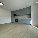 Rent 2 bedroom apartment of 52 m² in České Budějovice