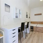 Rent 1 bedroom apartment in Brno