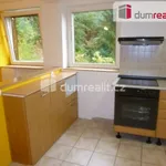 Rent 4 bedroom apartment in Dalovice