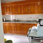 Alquilar 4 dormitorio apartamento en Cordoba