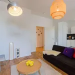 Rent 1 bedroom apartment in Berlin