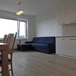 Rent 3 bedroom apartment of 69 m² in Brno