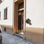 Rent 5 bedroom apartment of 90 m² in Florence