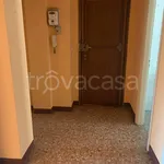 Rent 2 bedroom apartment of 55 m² in Torino