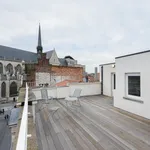 Rent 1 bedroom apartment in Leuven