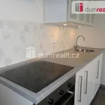 Rent 1 bedroom apartment of 36 m² in Prague