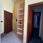 Rent 1 bedroom apartment of 35 m² in Torino