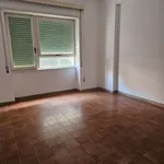 Rent 4 bedroom apartment of 110 m² in Reggio Calabria