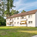 Rent 1 bedroom apartment of 41 m² in Celle