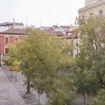 Rent 1 bedroom apartment in madrid