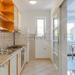 Rent 4 bedroom apartment of 218 m² in Zagreb