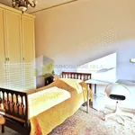 Rent 4 bedroom apartment of 90 m² in Pisa