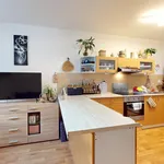 Rent 2 bedroom apartment in Plzeň