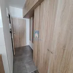 Pronajměte si 1 ložnic/e byt o rozloze 27 m² v Pilsen