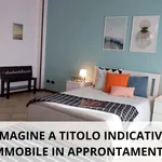 Rent 1 bedroom apartment in Bologna