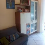 Rent 3 bedroom apartment in Pisa