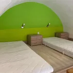 Rent 1 bedroom apartment in Brno