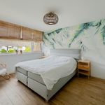 Rent 5 bedroom house of 119 m² in Nieuw-Vennep