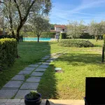 Rent 2 bedroom apartment of 50 m² in Padenghe sul Garda