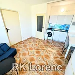 Rent 1 bedroom apartment of 35 m² in Brno