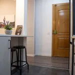 Rent 1 bedroom apartment in madrid