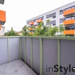 Rent 2 bedroom apartment of 39 m² in Brno