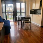 Rent 1 bedroom apartment of 32 m² in Milano