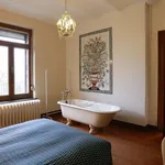 Rent a room in brussels