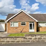 Detached bungalow to rent in Woodvale Close, Walton, Chesterfield S40