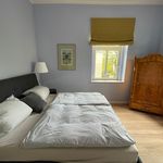 Rent 1 bedroom apartment of 60 m² in Dresden