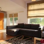 Rent 1 bedroom apartment of 37 m² in Poznan