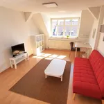 Rent 2 bedroom apartment of 61 m² in Leipzig