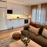 Rent 2 rooms apartment of 59 m², in Ludvika