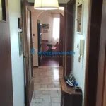 Rent 1 bedroom apartment of 60 m² in Συνοικισμός