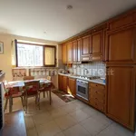 Rent 2 bedroom apartment of 50 m² in Perugia