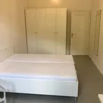 Rent 4 bedroom apartment in Prague