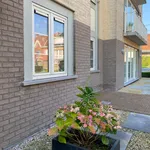 Rent 1 bedroom apartment in Waregem