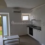 Affitto 1 camera appartamento di 30 m² in Grosseto