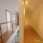 Pronajměte si 1 ložnic/e byt o rozloze 102 m² v Prague