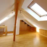 Rent 1 bedroom apartment of 164 m² in Trier