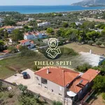 Ενοικίαση 4 υπνοδωμάτιο σπίτι από 241 m² σε Lavreotiki Municipal Unit