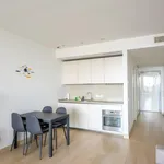 Rent 1 bedroom apartment of 60 m² in Roma