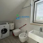 Affitto 3 camera appartamento di 40 m² in San Benedetto del Tronto