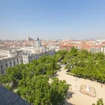 Rent 1 bedroom apartment of 55 m² in Madrid