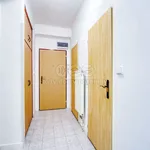 Rent 2 bedroom apartment of 50 m² in Dýšina