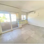 Affitto 1 camera appartamento di 36 m² in Bologna