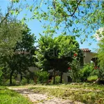 Rent 2 bedroom apartment of 90 m² in Lugnano in Teverina