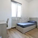 Rent 1 bedroom apartment in vicenza